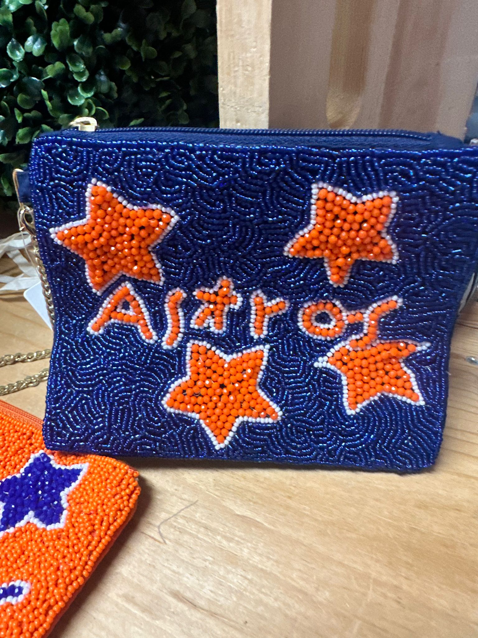astros bag 1